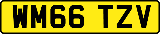 WM66TZV