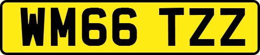WM66TZZ