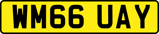 WM66UAY