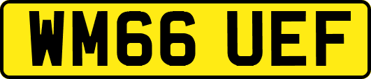 WM66UEF