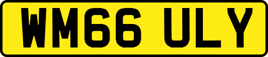 WM66ULY