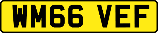 WM66VEF