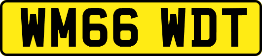WM66WDT