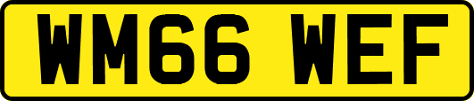 WM66WEF