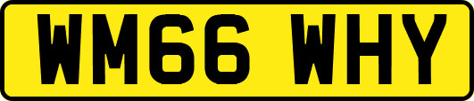 WM66WHY