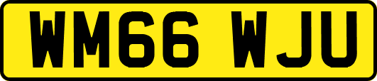 WM66WJU