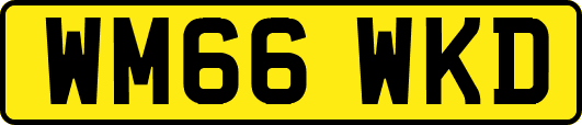 WM66WKD