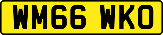 WM66WKO
