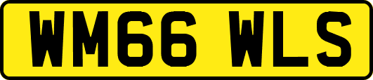 WM66WLS