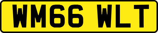 WM66WLT