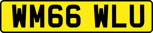 WM66WLU