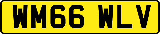 WM66WLV