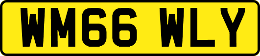 WM66WLY