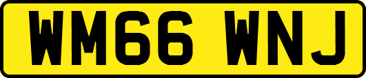 WM66WNJ