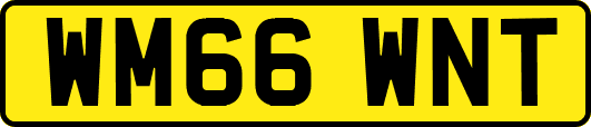 WM66WNT