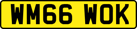 WM66WOK