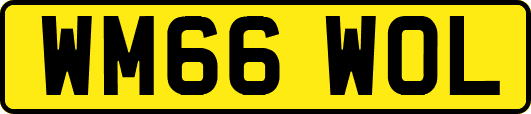 WM66WOL