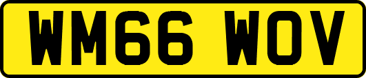 WM66WOV