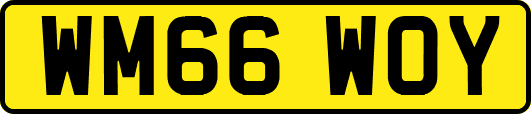 WM66WOY