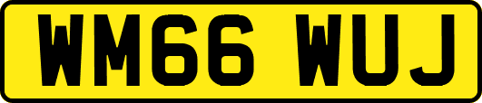 WM66WUJ
