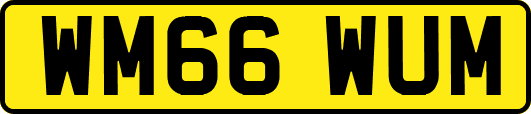 WM66WUM