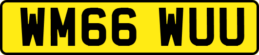 WM66WUU
