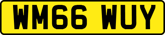 WM66WUY