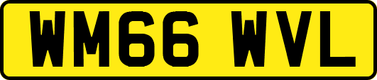 WM66WVL