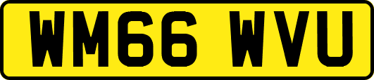 WM66WVU
