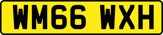 WM66WXH
