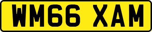 WM66XAM