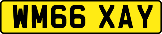 WM66XAY