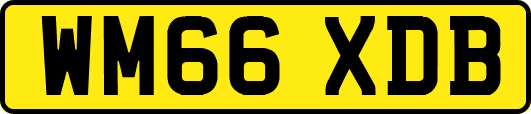 WM66XDB