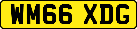 WM66XDG