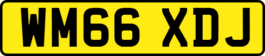 WM66XDJ