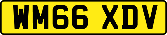 WM66XDV