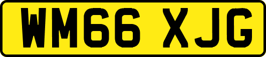 WM66XJG