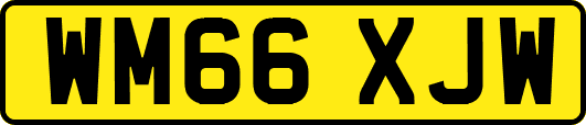 WM66XJW