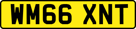 WM66XNT