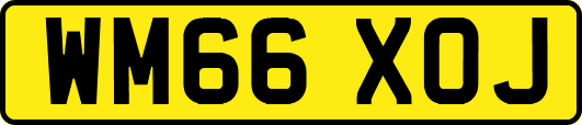 WM66XOJ