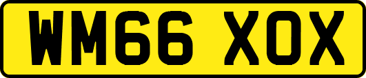 WM66XOX