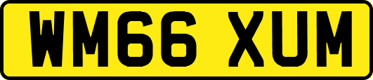 WM66XUM