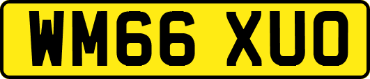 WM66XUO