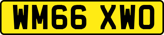 WM66XWO