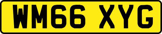 WM66XYG
