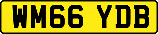 WM66YDB