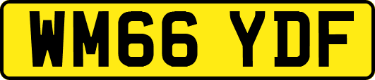 WM66YDF