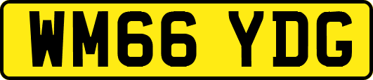 WM66YDG