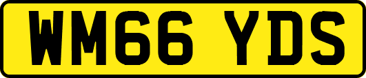 WM66YDS