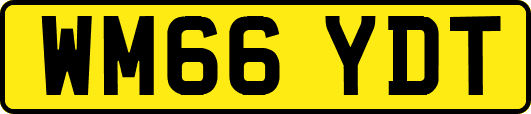 WM66YDT
